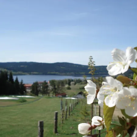 Villa Villapark Lipno Dreams Lipno nad Vltavou