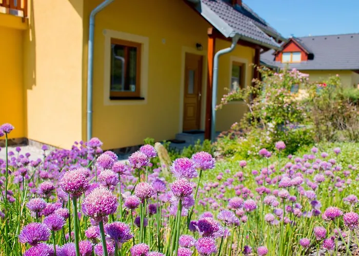 Villa Villapark Lipno Dreams