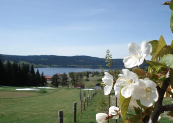 Villa Villapark Lipno Dreams Lipno nad Vltavou